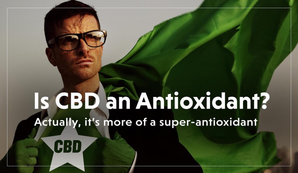 Is CBD an Antioxidant? Is CBD an Antioxidant?