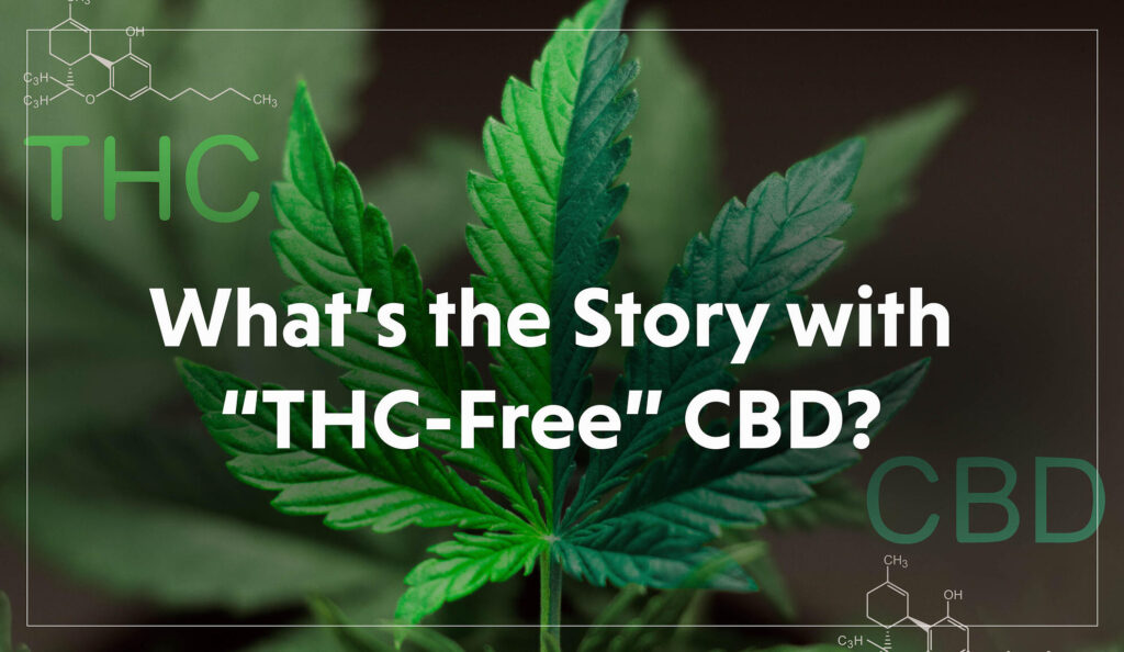 What’s the Story with “THC-Free” CBD? What’s the Story with “THC-Free” CBD?